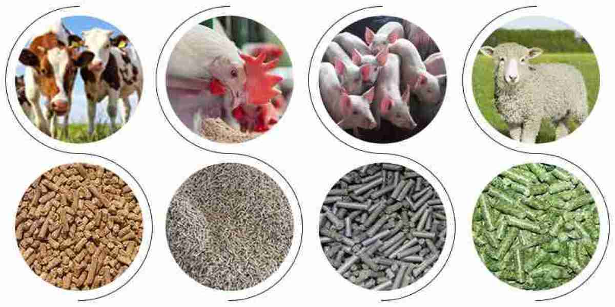 Animal Feed Additives Market Future Trends Indicate Strong Demand for Functional and Specialty Additives