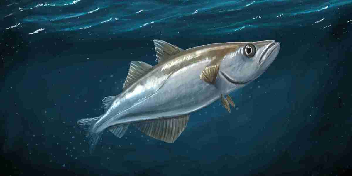 Wild Pollock Market Competitiveness Increases as Alternative Protein Companies Enter the Seafood Sector