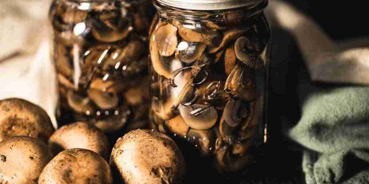 Canned Mushroom Market Developments: Innovations, Growth Drivers, and Future Trends Shaping the Industry