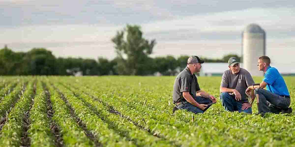 Exploring the Economic Impact of the Agricultural Textiles Market on Rural Development