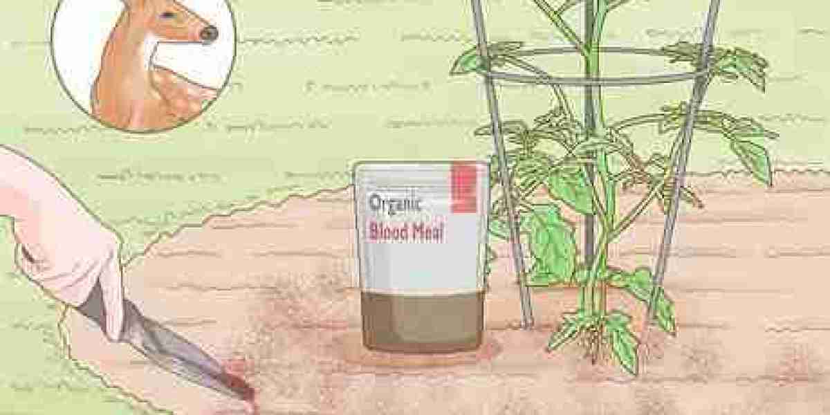 Blood Meal Fertilizers Market: Opportunities in Developing Countries as Agricultural Practices Evolve