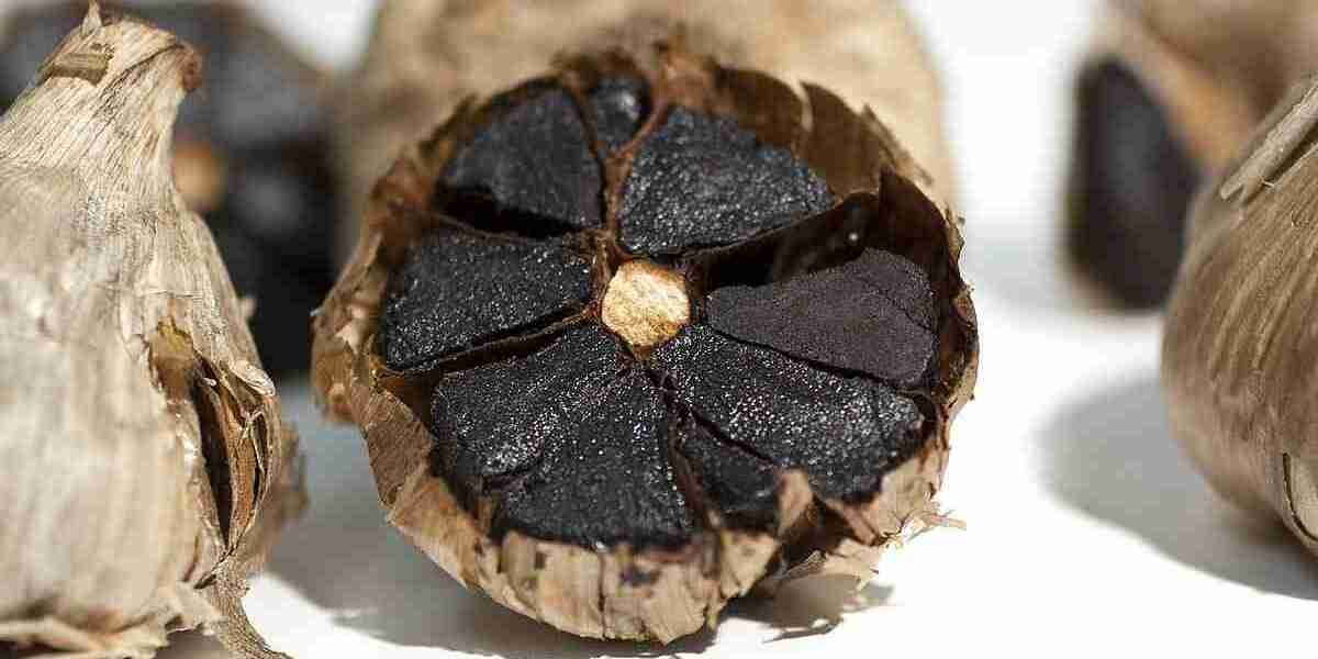 Exploring the Potential of the Black Garlic Market: Growth Opportunities and Future Outlook