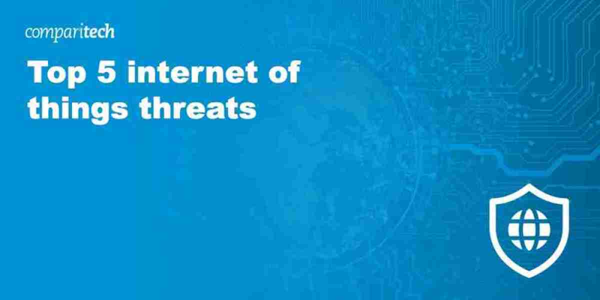 IoT Risks – Privacy Erosion and Defense Strategies