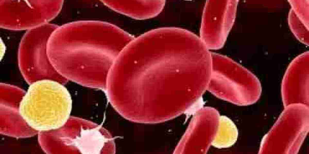 Anticoagulants Market Intelligence: Comprehensive Insights into Market Trends, Growth Drivers, and Future Forecasts