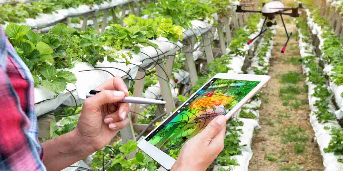 Smart Agriculture Solution Market Developments: Technology Advancements and Evolving Trends