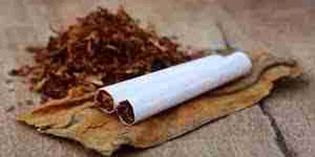Roll-Your-Own Tobacco Products Market Services: Supporting Growth Through Innovation and Accessibility