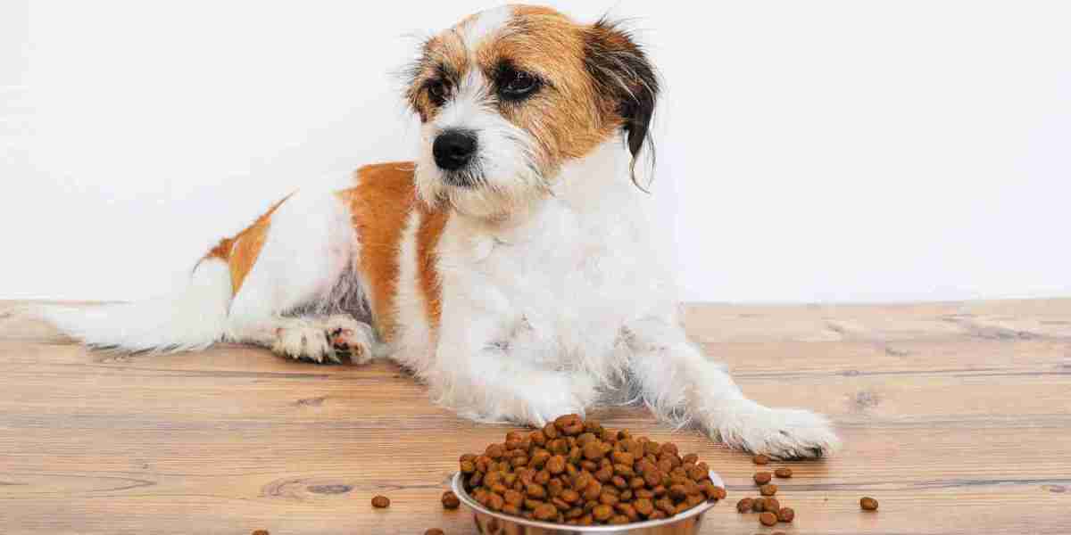 Key Dog Food Market Developments: Innovations, Consumer Trends, and Industry Advancements Shaping Growth