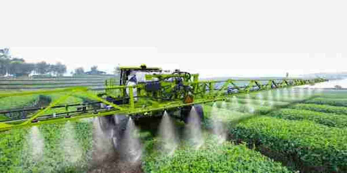 The Market Potential of Regenerative Agriculture: Transforming Farming for a Sustainable Future