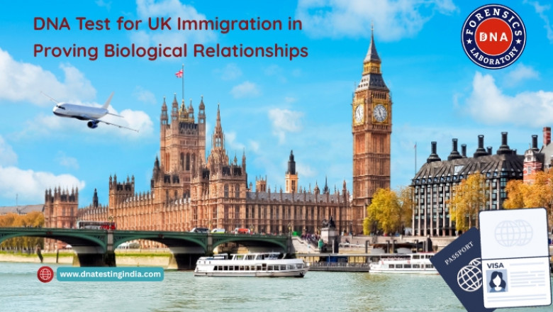 The Role of a DNA Test for UK Immigration in Proving Biological Relationships | Times Square Reporter
