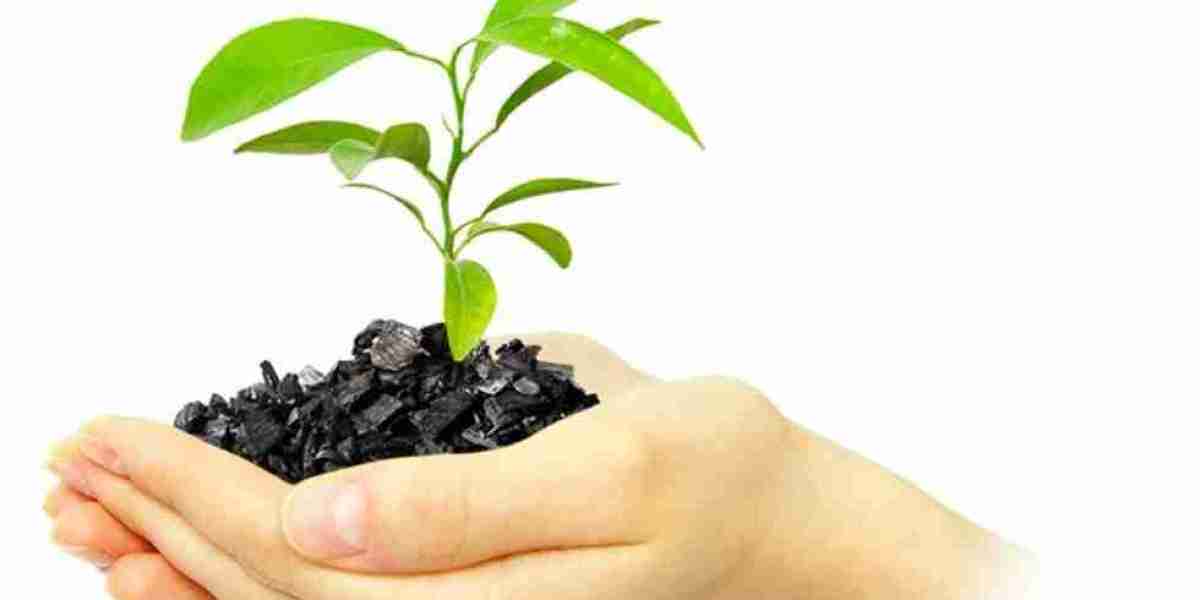 Biochar Market Development: Analyzing Key Players and Competitive Landscape in 2025