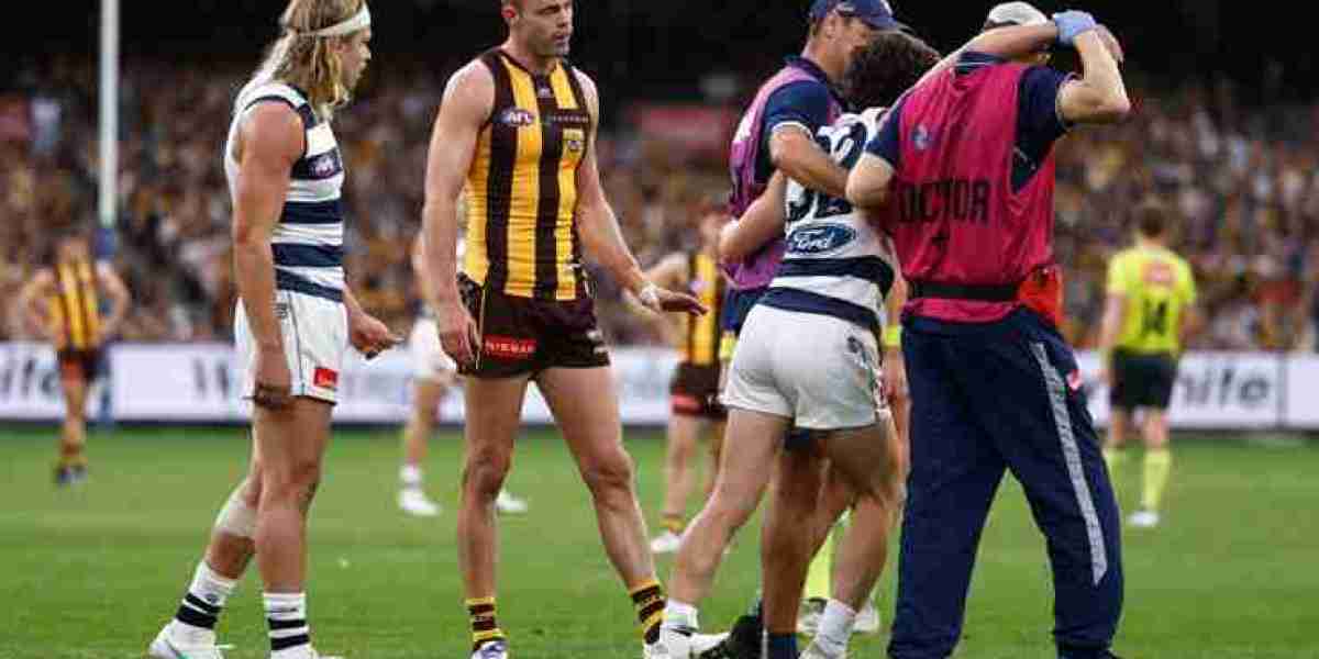 Geelong Triumphs Over Hawthorn - Easter Monday Clash