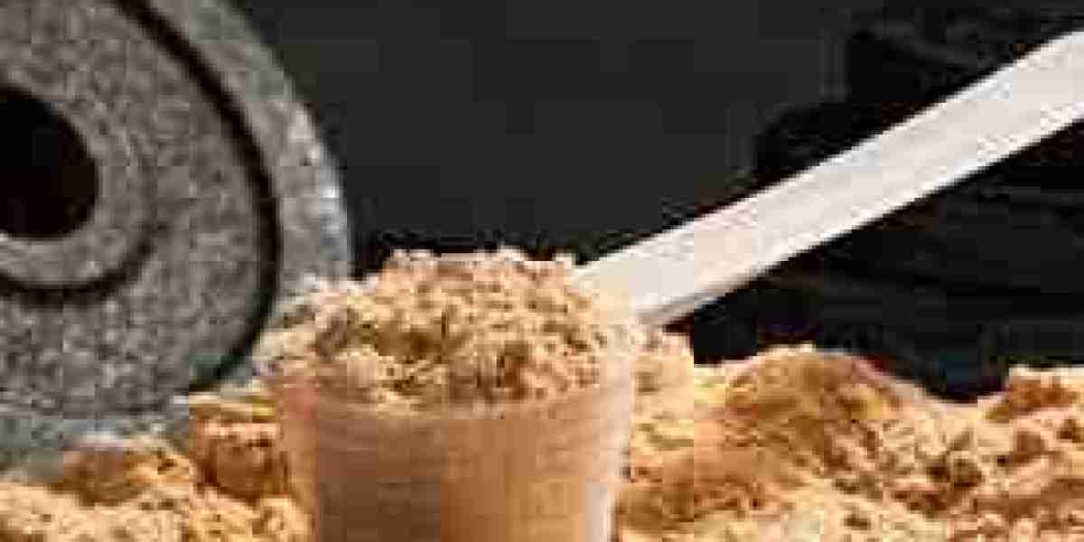 Deproteinized Whey Market: Market Outlook, Export Trends, and Global Trade Dynamics