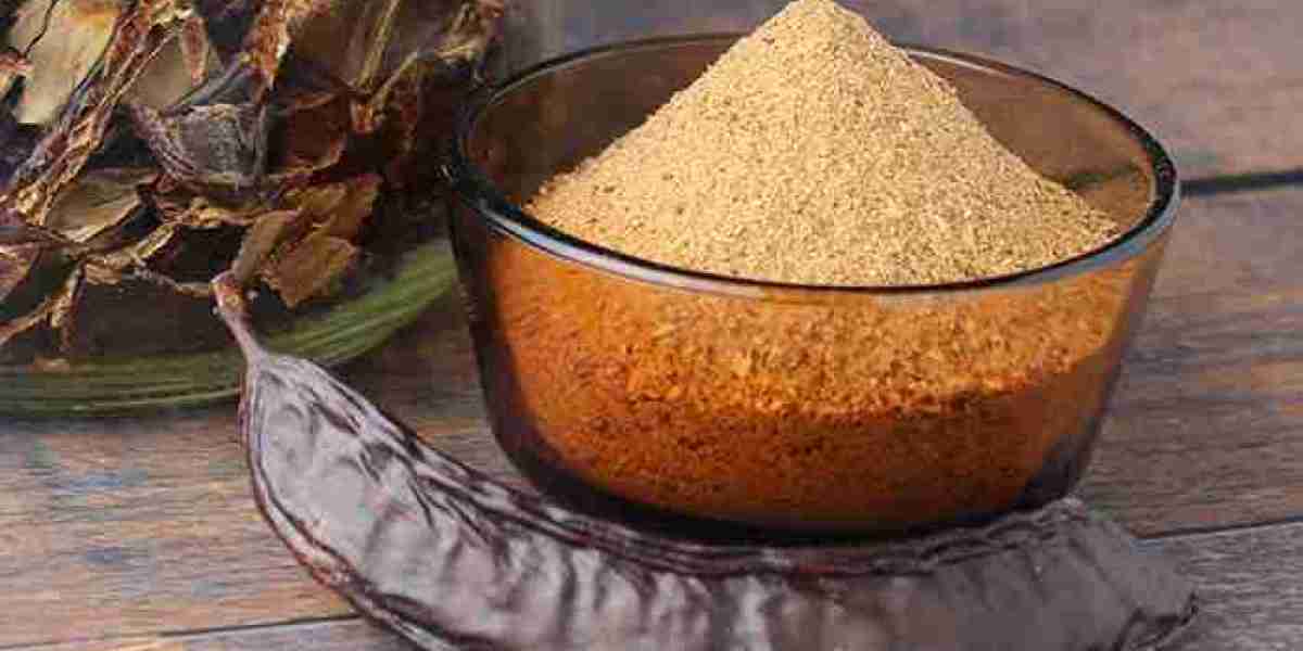 Carob Powder Market Growth: Unlocking the Potential of a Nutritional Powerhouse