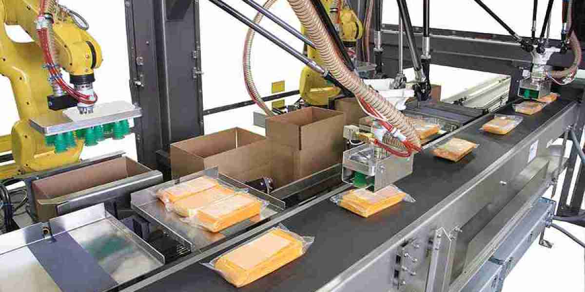 Wrap Around Cartoners Market Development: Expanding Applications in E-commerce Packaging and Logistics Solutions