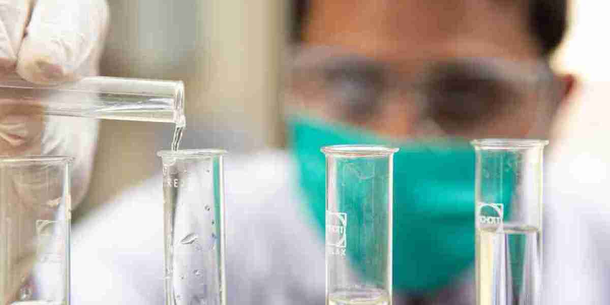 Laboratory Information Management System Market: Navigating the Future of Smart Laboratory Operations