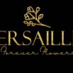Versailles World