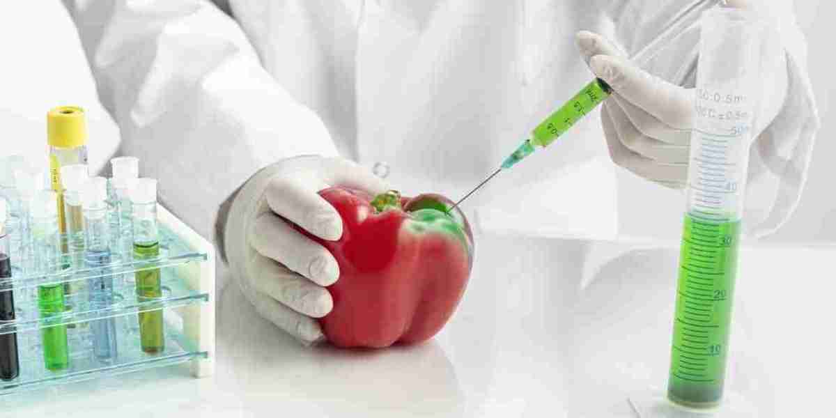 Understanding HACCP Certification