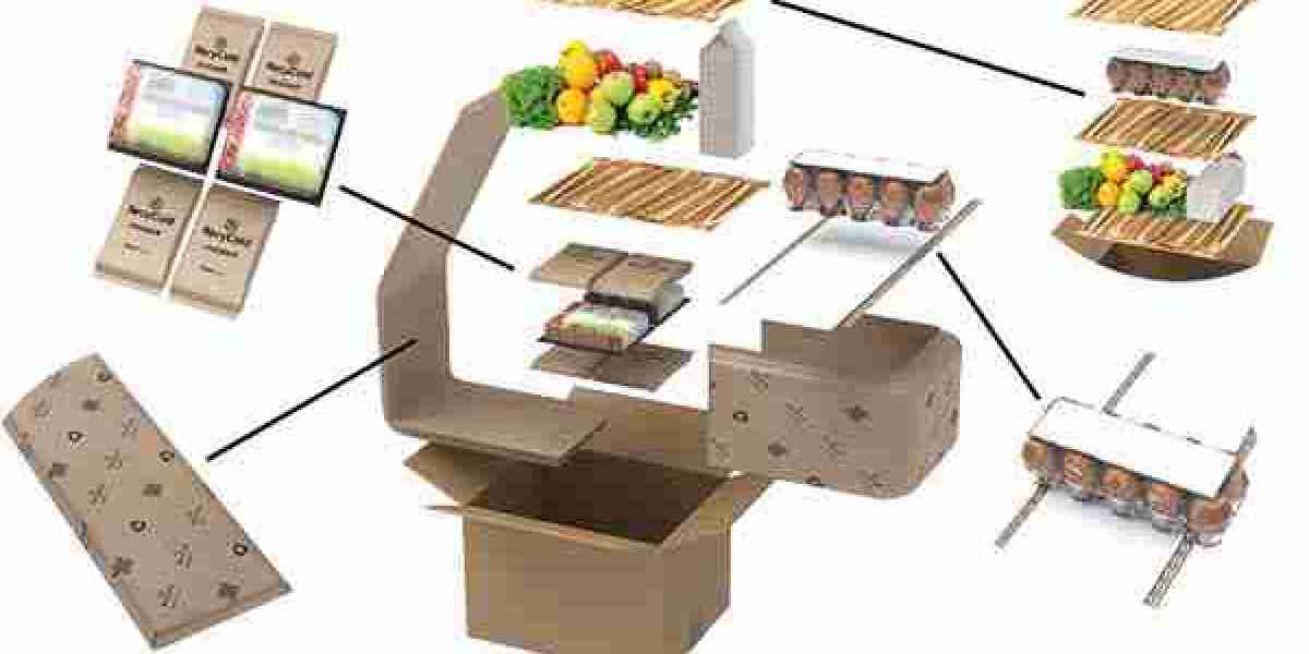 Cold Chain Packaging Market Insights on Demand, Challenges, and Future Growth Opportunities