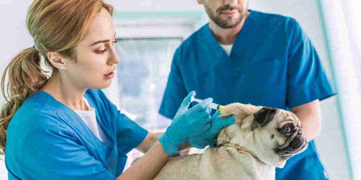 Veterinary Vaccines Market: A Deep Dive into the Evolution of Livestock and Companion Animal Vaccination