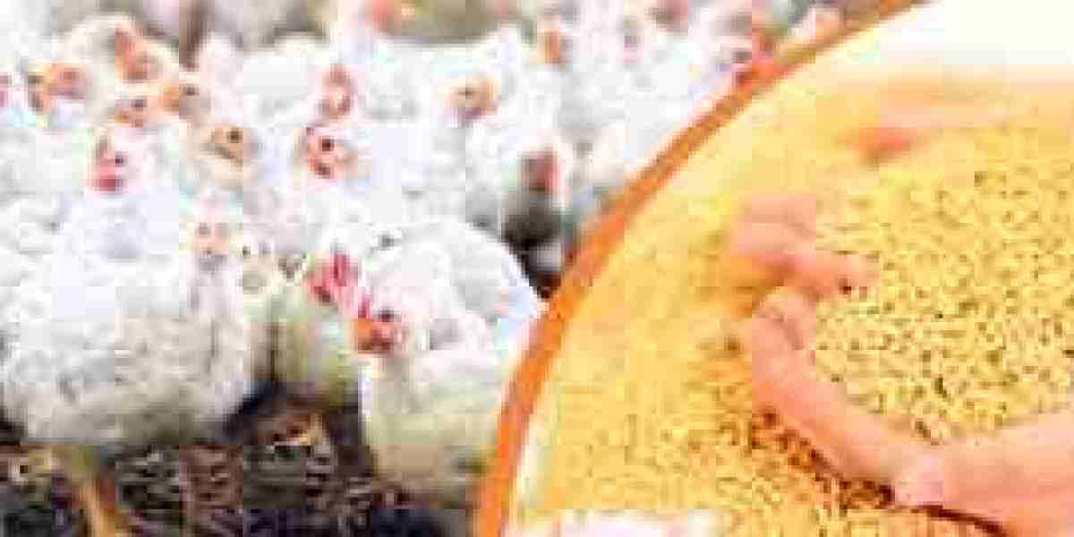 Poultry Feed Market Threats: Navigating Challenges in a Dynamic Industry