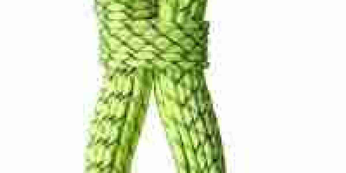 Ropes Market Regulatory Overview: Compliance Requirements Impacting Global Manufacturers and Suppliers
