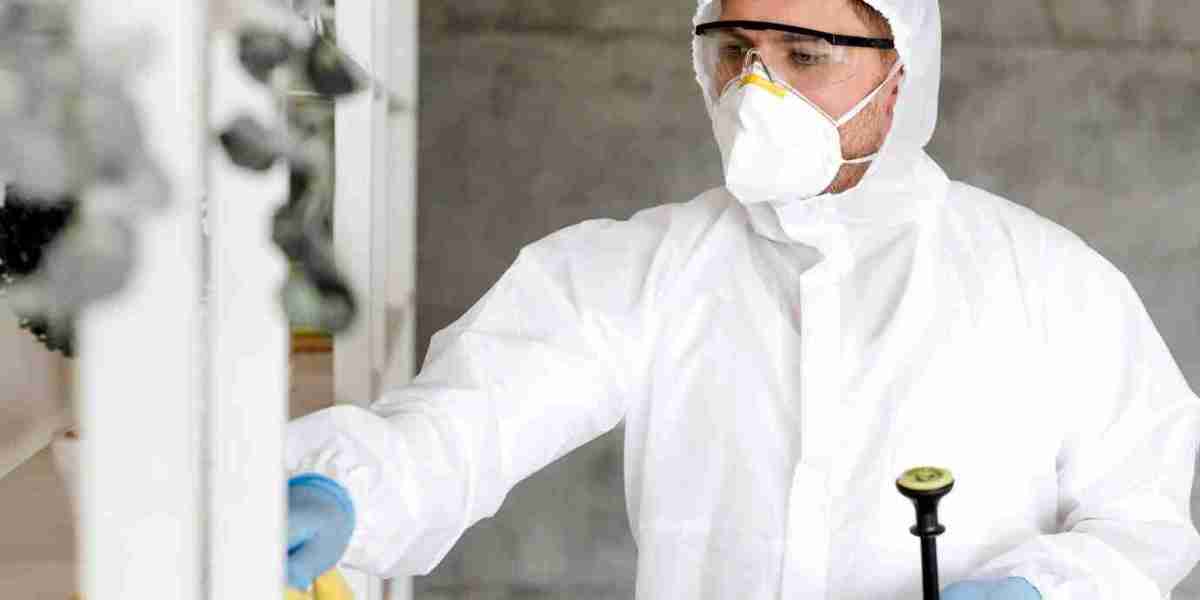 Top Factors Driving Growth in the Anti-Foaming Agents Market Worldwide