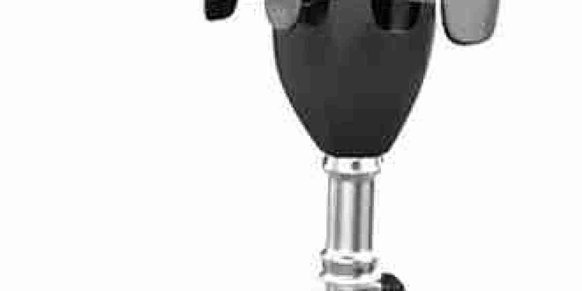 Veterinary Orthotics-Prosthetics Market Potential Bolstered by Expanding Veterinary Rehabilitation and Physical Therapy 