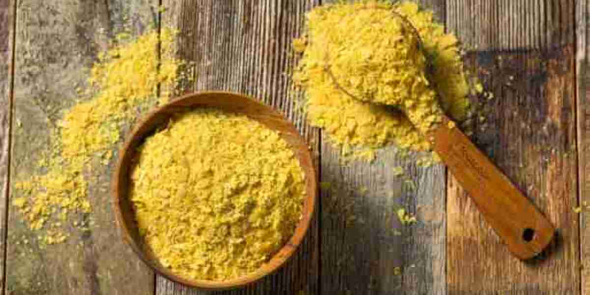 Cheese Powder Market Sees Opportunities in Emerging Regions with Expanding Processed Food Industries