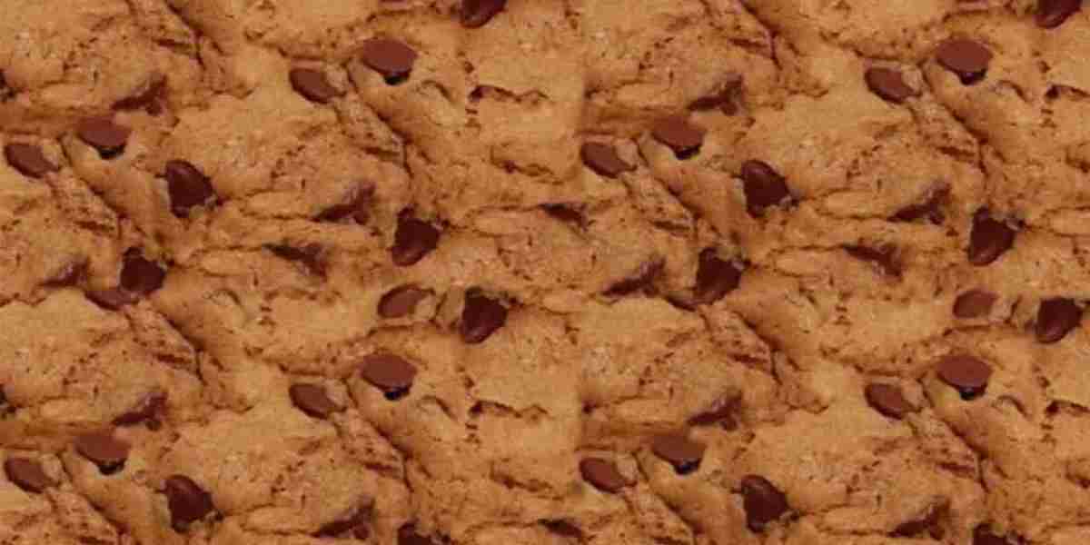 Texture Modified Meals Market: Consumer Awareness and Adoption Rates