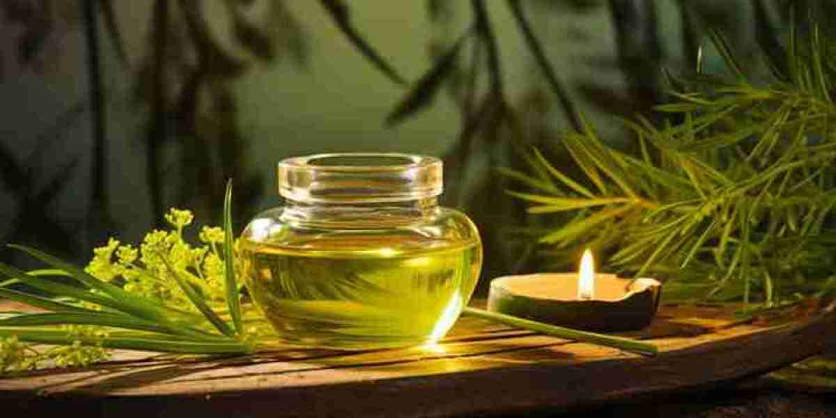Citronella Oil Market: Market Outlook and Future Projections