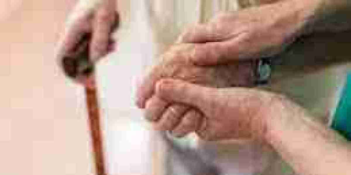 Elderly Care Market Regulatory Landscape: Navigating Policy Changes Affecting Global Senior Care Providers