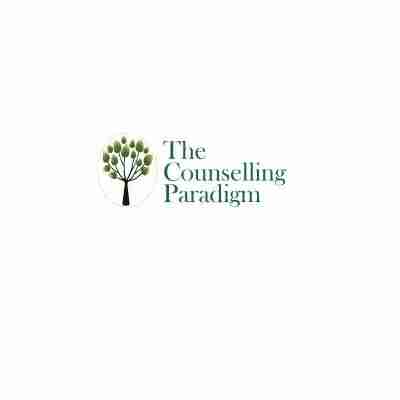The Counselling Paradigm