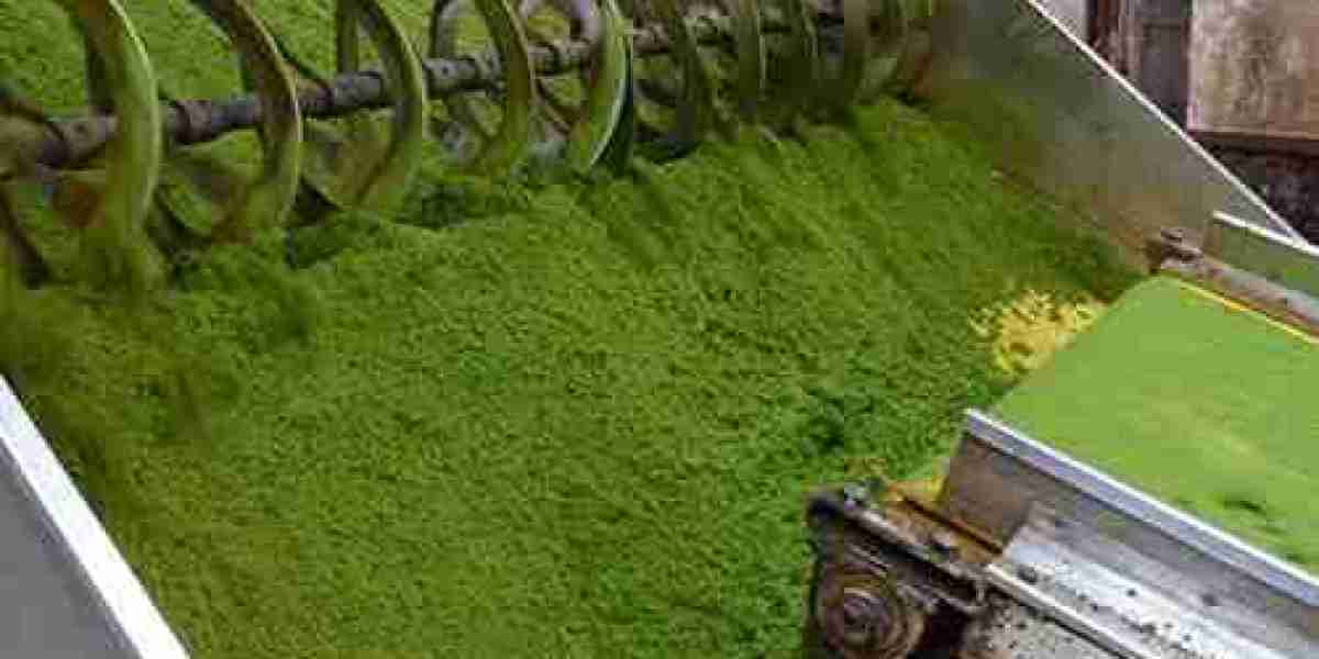 Exploring the Plan for Tea Processing Plant Project: Detailed Report by IMARC Group