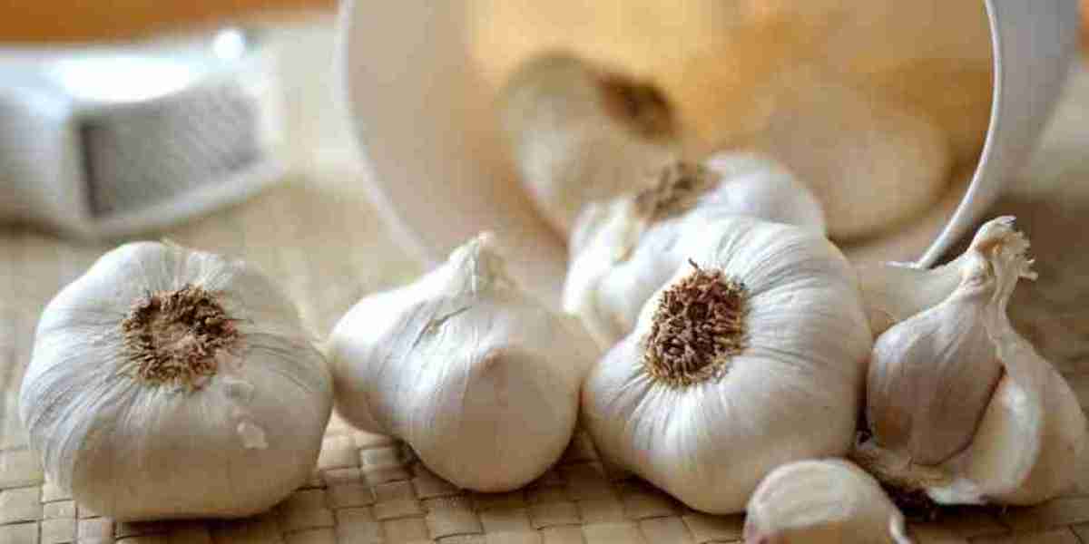 Garlic Market: Comprehensive Market Summary and Growth Insights