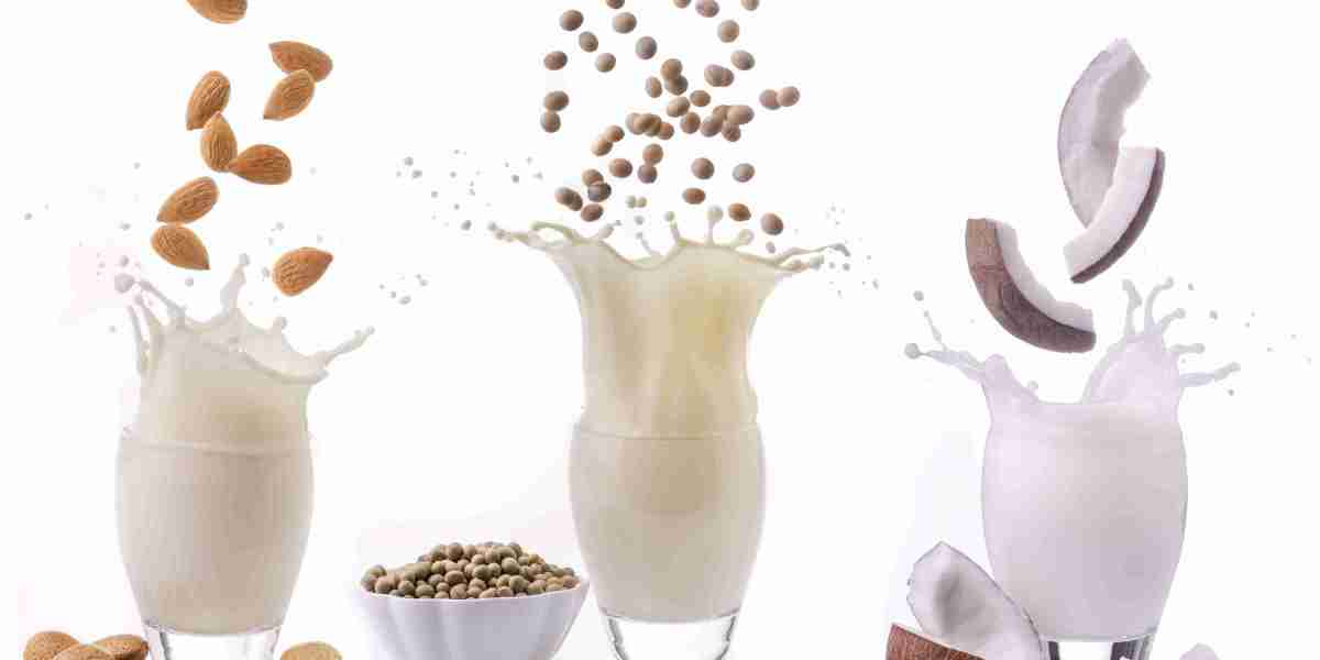 Dairy Alternatives Market Research: Mapping Consumer Shifts, Innovation Trends, and Global Demand