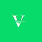 Vworld Officical