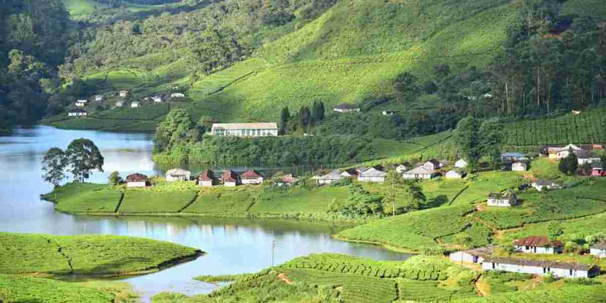 Madurai To Munnar Cab