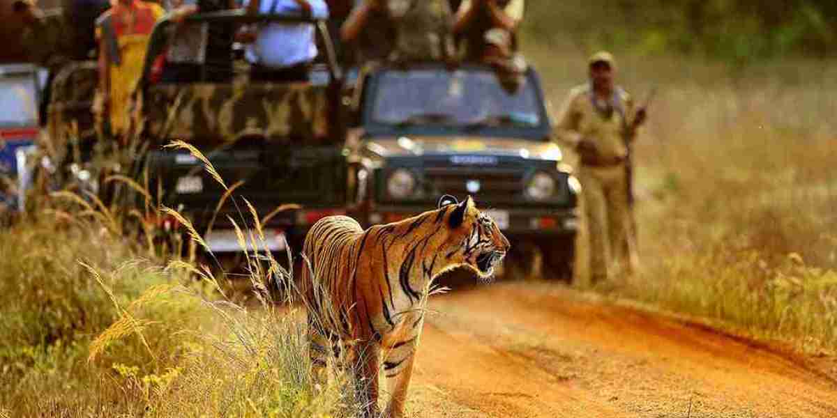 3 Days Delhi Ranthambore Tour Package