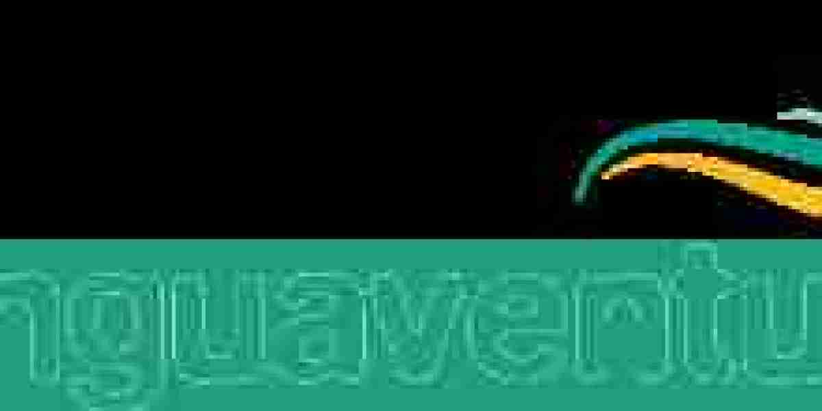 Youth Summer Camps Spain: The Ultimate Adventure with Lenguaventura
