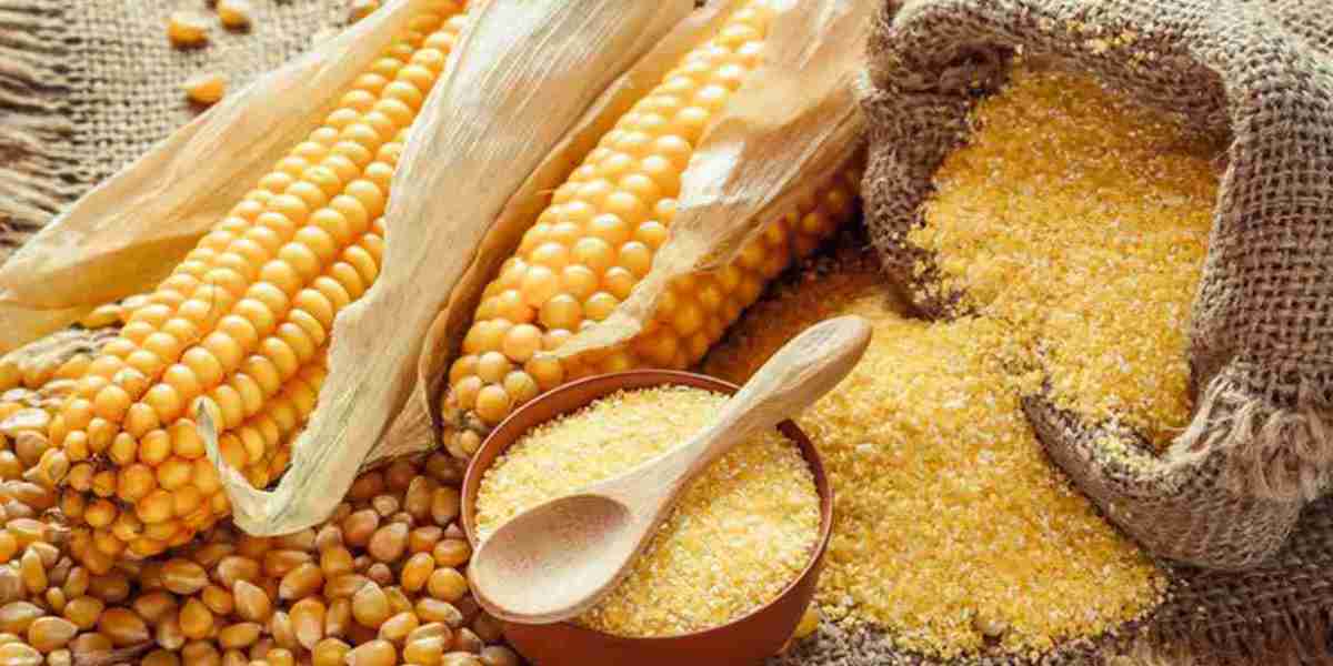 Corn Flour Market Potential: Exploring Growth Opportunities, Trends, and Regional Insights
