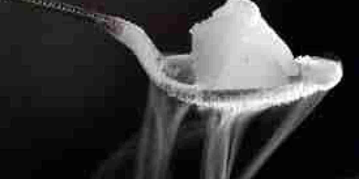 Dry Ice Market Expansion: Exploring Untapped Markets and Niche Opportunities Beyond Traditional Uses
