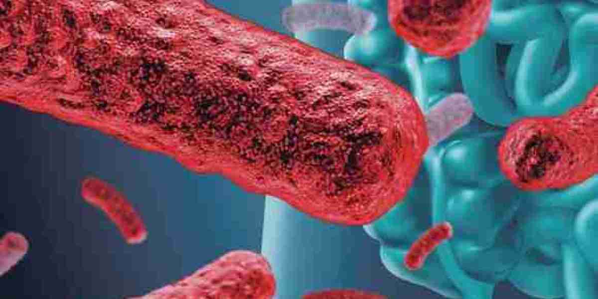 Microbial-derived Fibre Market Potential: Unlocking Sustainable Solutions for the Future