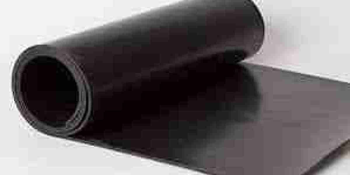 Synthetic Polyisoprene Rubber Market Outlook: Future Projections and Growth Opportunities Across Key Regions