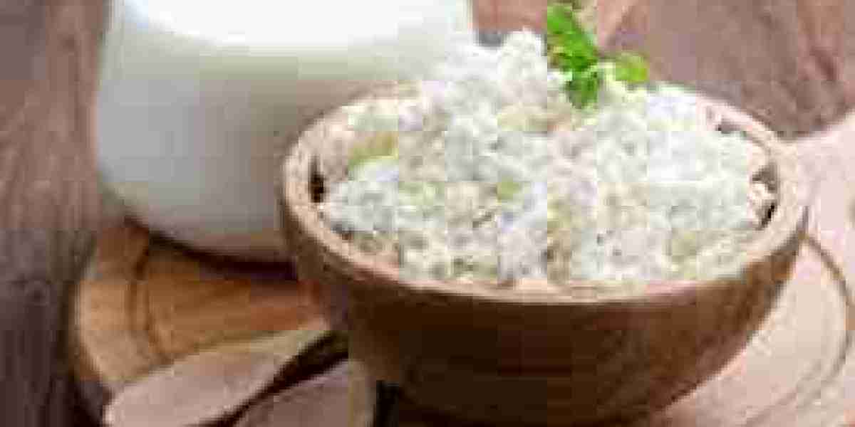 Milk Ingredients Market Innovations: Paving the Way for Future Growth and Consumer Demand