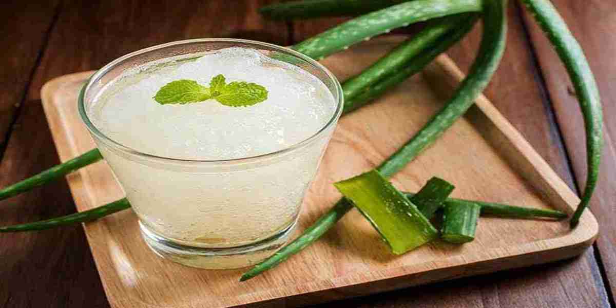 Aloe Vera Juice Market: Exploring the Growing Opportunities for Health-Conscious Consumers Worldwide
