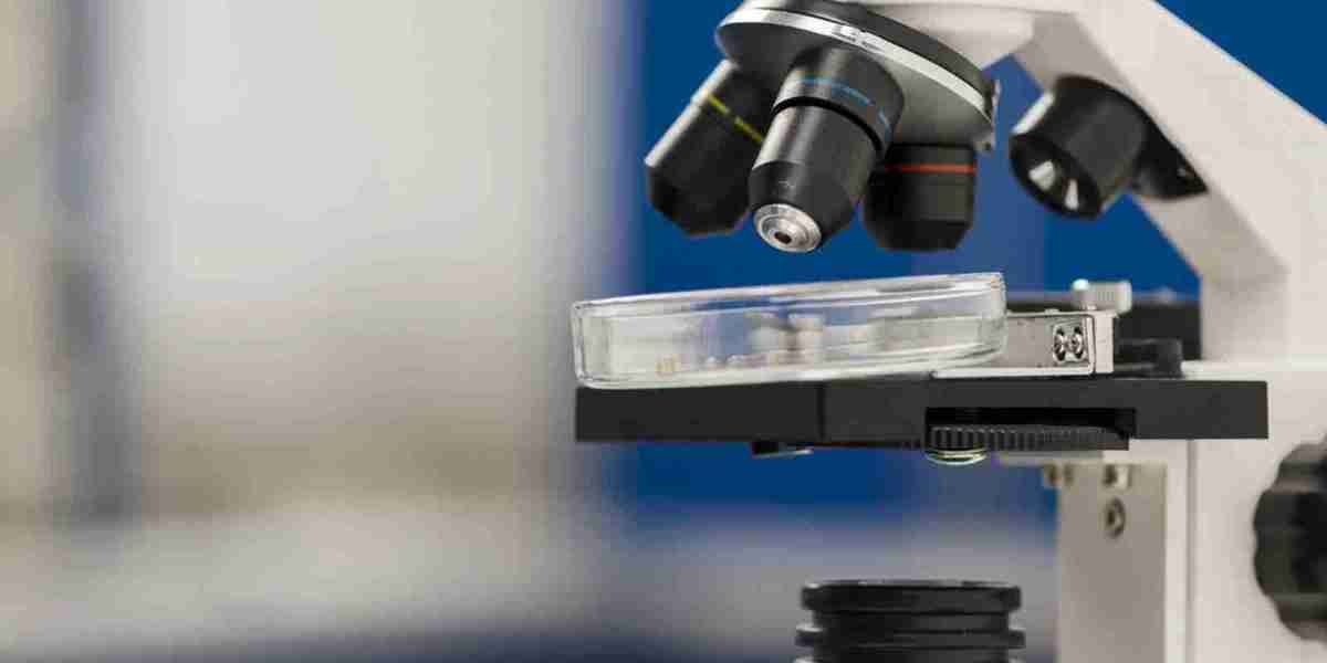 Microscope Digital Cameras Market: Analyzing Growth, Trends, and Innovations for 2024-2034