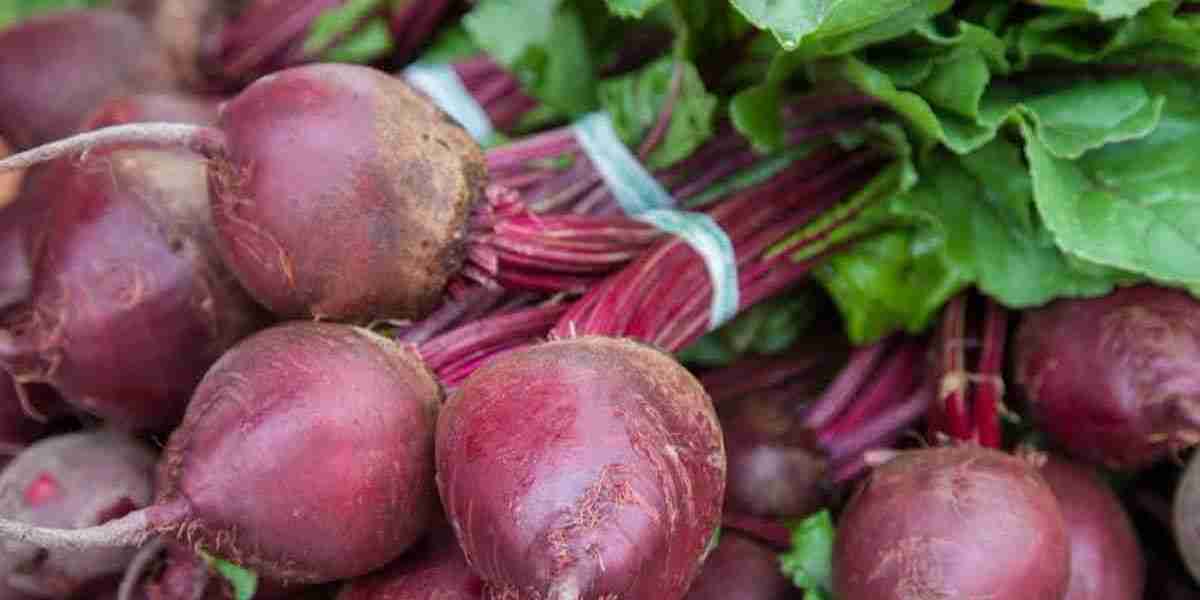 Betanin Food Color Market Potential: Natural, Healthy, and Growing Demand in Global Food and Beverage Industry