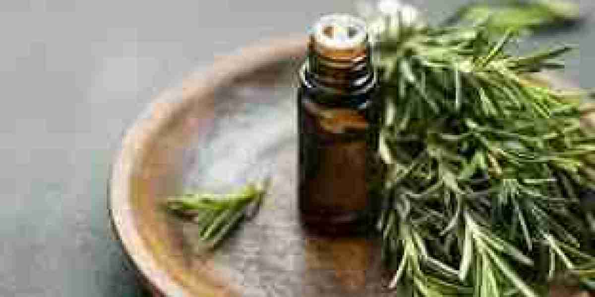 Rosemary Extract Market Scope: Expanding Applications and Growth Opportunities Worldwide
