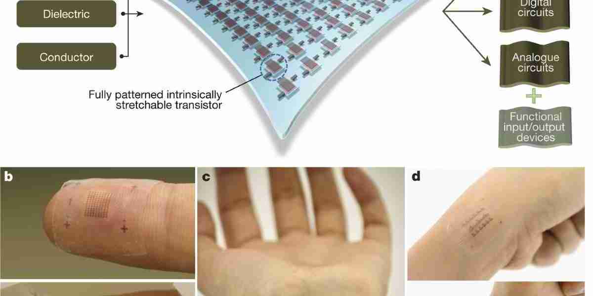 Electronic Skin Market Accelerators: Key Drivers Fueling Growth and Adoption of E-Skin Technology