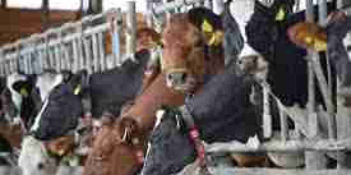Farm Wearables Market Charges to USD 7.8 Bn Combat Tech Cuts Livestock Losses by 7.8 Bn